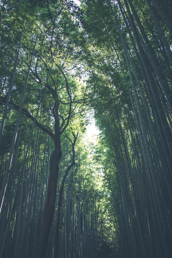 Вилла Shirakabanoyado-Taisho Осака Экстерьер фото